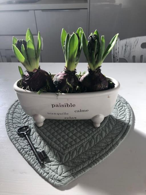 Ospite Al N 5 Apartment Mondovi
